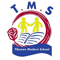 Tibneen Modern School